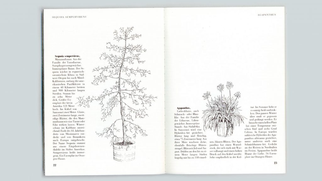 Projektbegleitender Katalog zur Ausstellung »Mehr Licht in der Orangerie«
